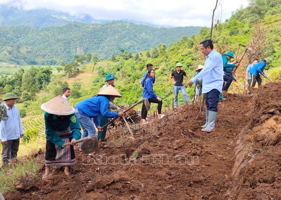 Đại biểu Sùng Lử Páo - Phó Bí thư Huyện ủy, Chủ tịch UBND huyện Tam Đường trực tiếp chỉ đạo và cùng Nhân dân xã Nà Tăm làm đất trồng chè.